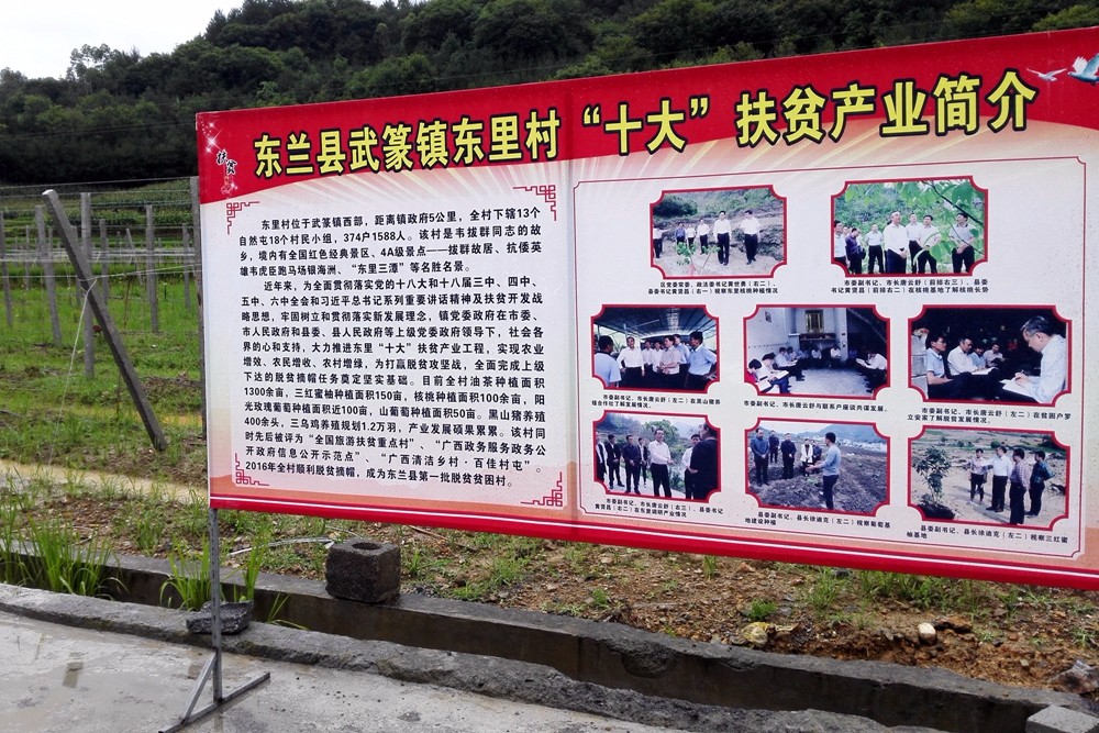 广西东兰县山区开启葡萄智能化产业扶贫生产示范