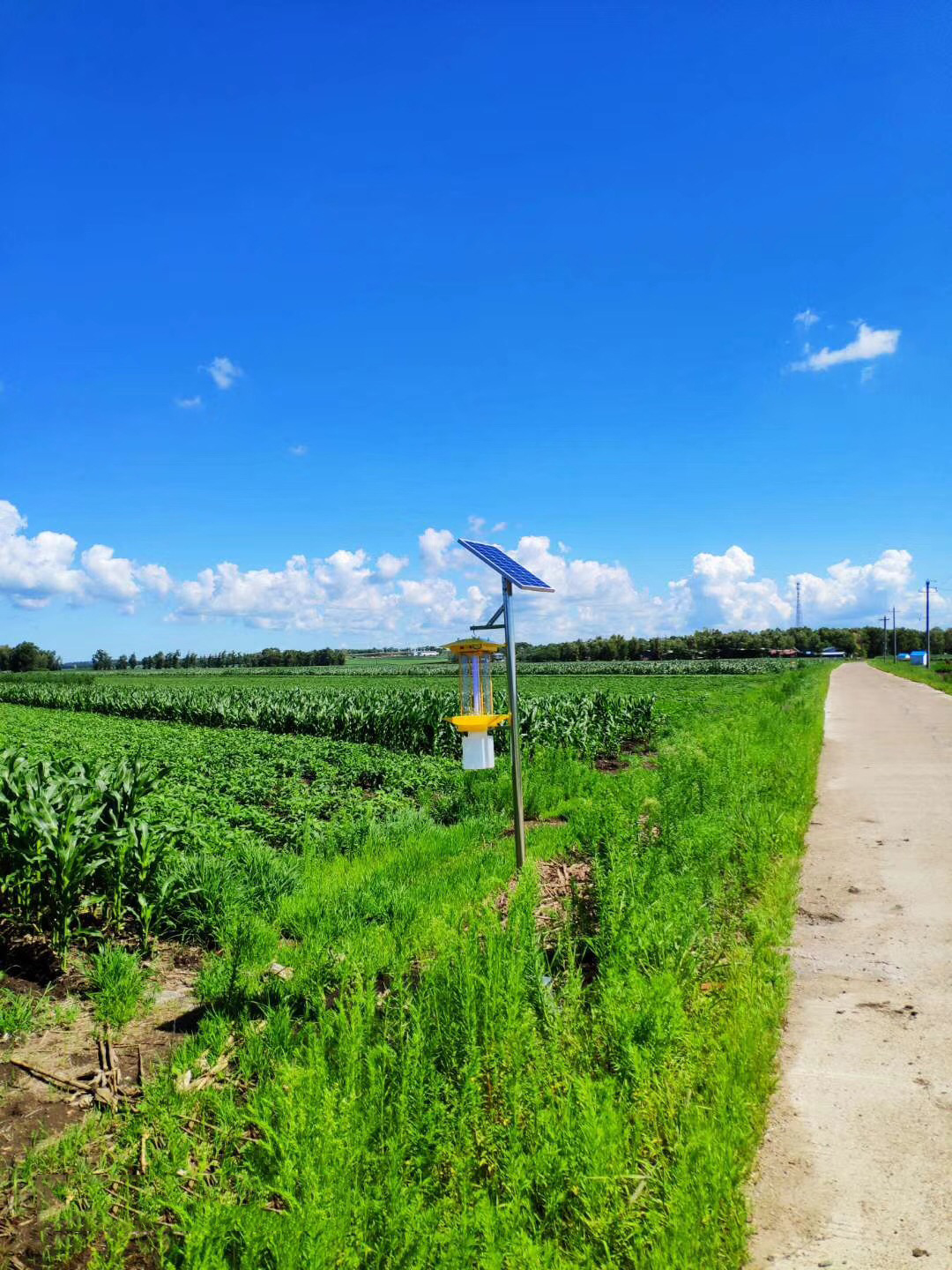 黑龙江水云科技引入智慧农业技术，进行生产示范
