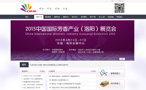 谊和永邦（北京）会展有限公司网站建设