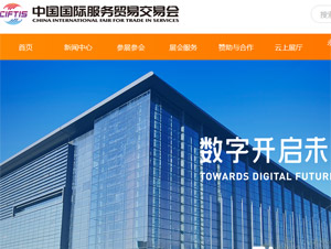 中国国际服务贸易交易会网站建设