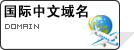 国际中文域名 国际中文域名